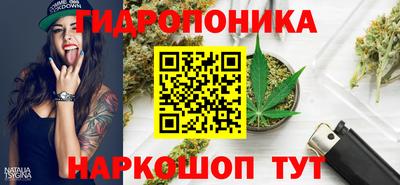 стаф Свободный