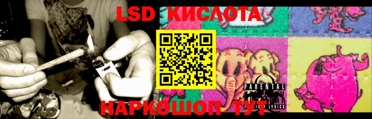 Новодвинск  omg сайт  Вход с VPN  Лсд 25 экстази кислота  Лсд 25 экстази ecstasy 