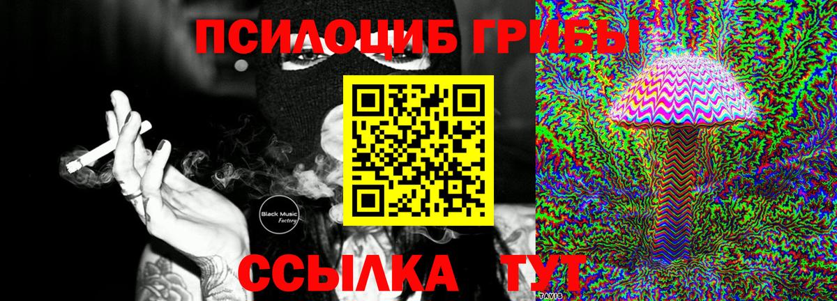 ГАШИШ Новодвинск