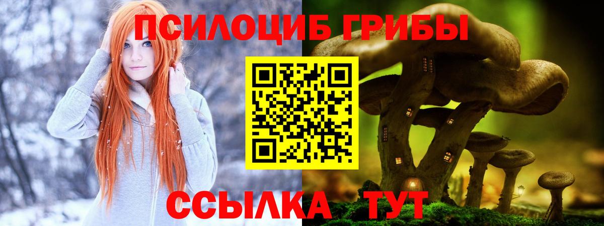 Новодвинск  Псилоцибиновые грибы MAGIC MUSHROOMS  Вход с VPN  Галлюциногенные грибы Magic Shrooms 