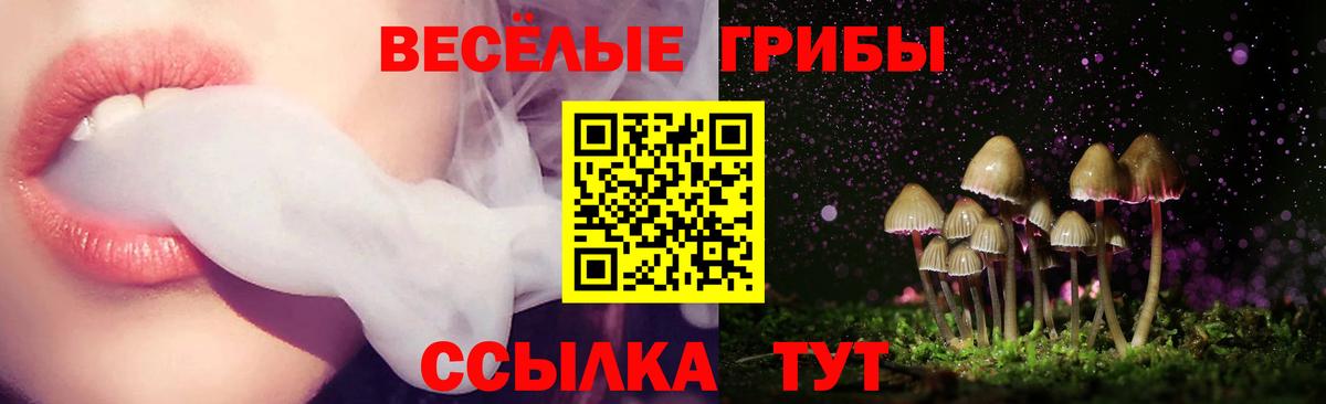 Галлюциногенные грибы ЛСД Новодвинск